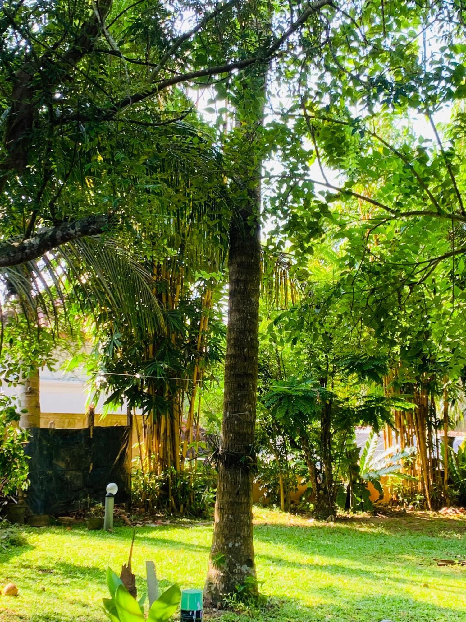 Cinnamon House Hiriketiya Dickwella Exterior foto