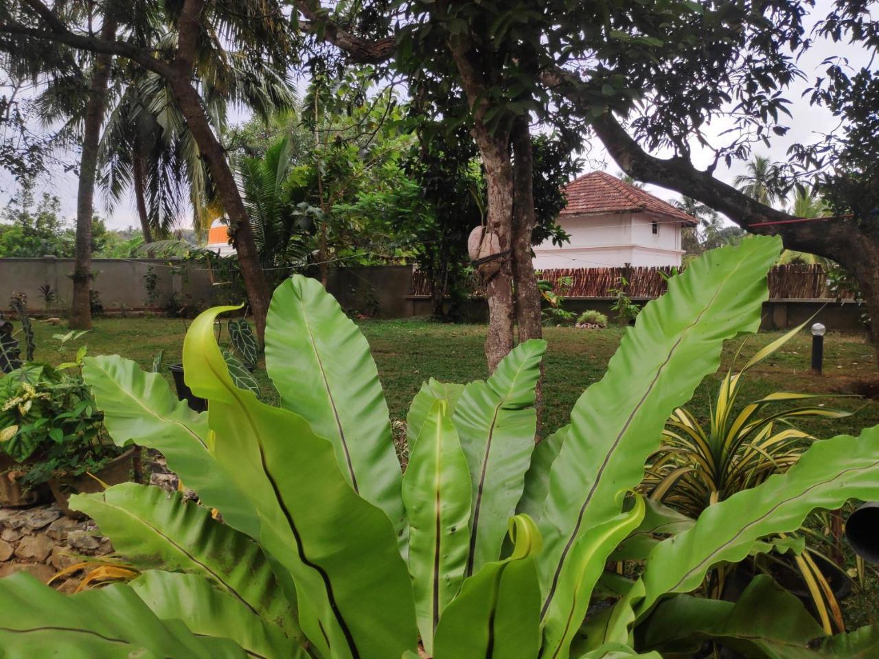 Cinnamon House Hiriketiya Dickwella Exterior foto