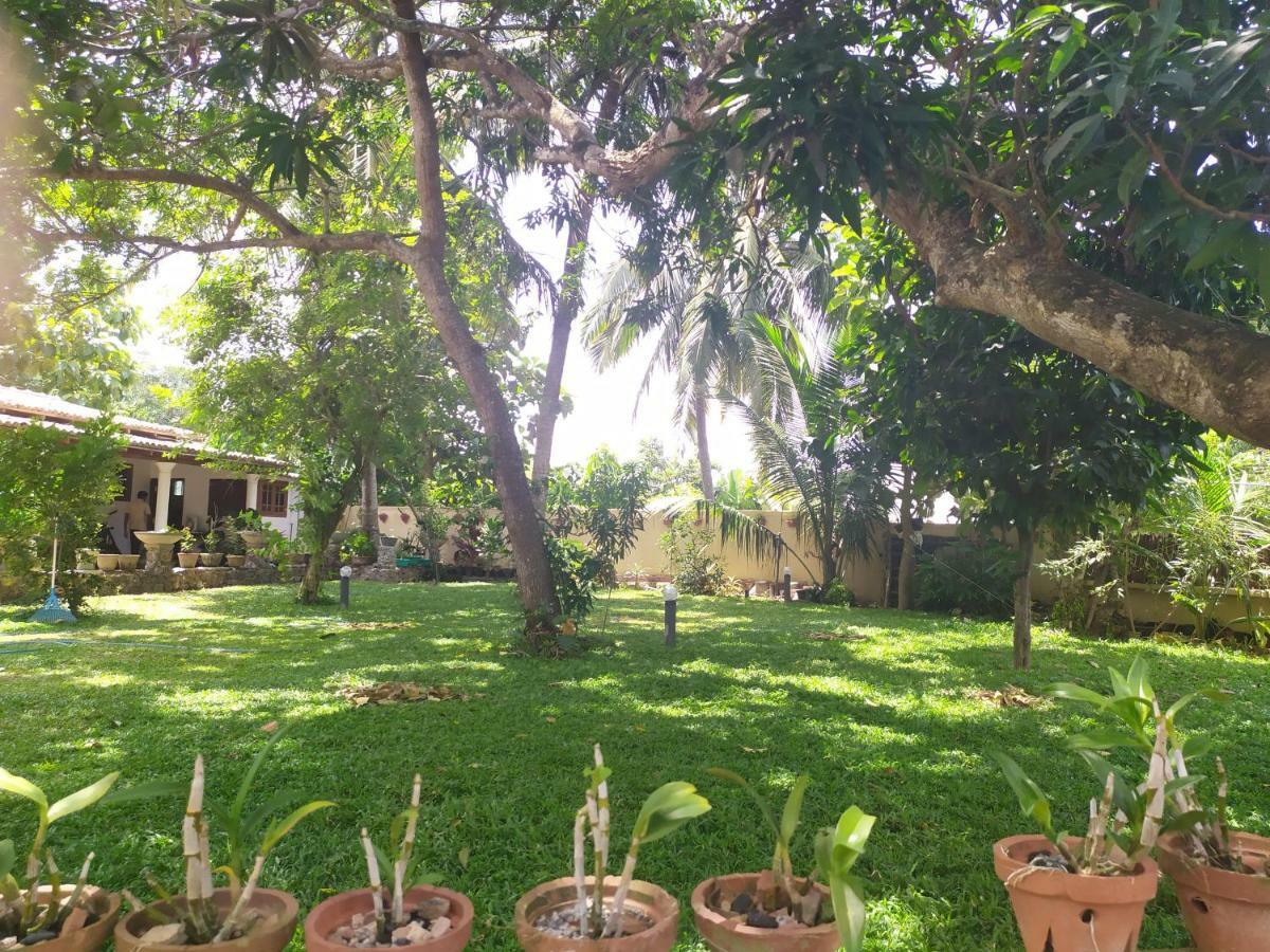 Cinnamon House Hiriketiya Dickwella Exterior foto